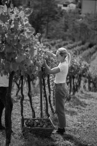 Podere Ferrari - Podere Ferrari - Riccò del Golfo - SP