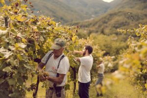 Podere Ferrari - Podere Ferrari - Riccò del golfo - La Spezia